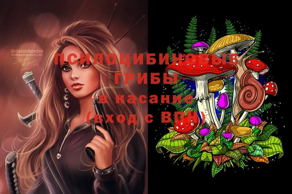 дурь Аркадак