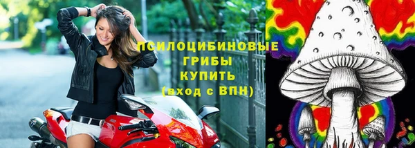 дурь Аркадак